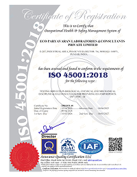 Company Name
